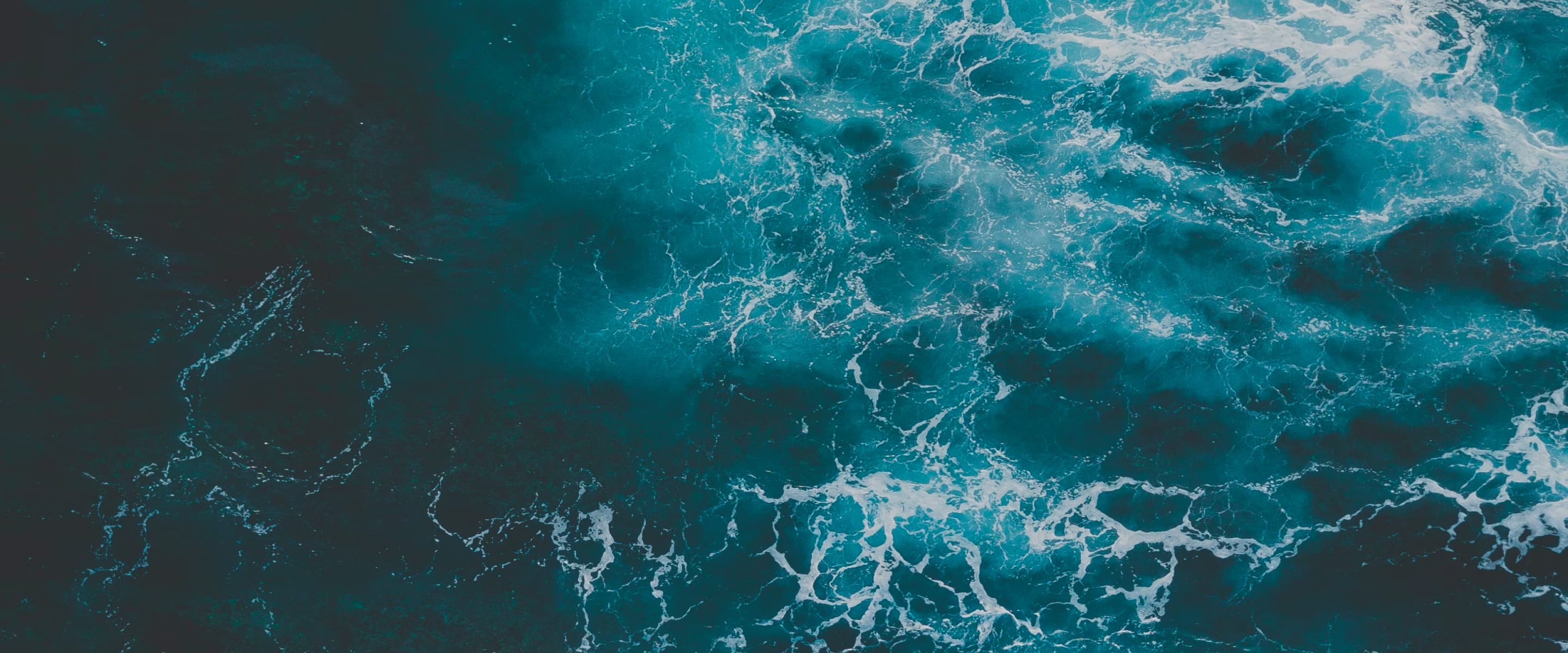 Cleanhub Ocean