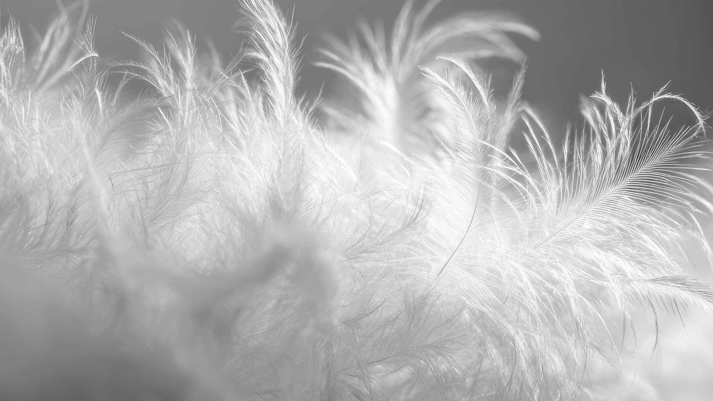 leesa-bedding-downpillow-detail-01