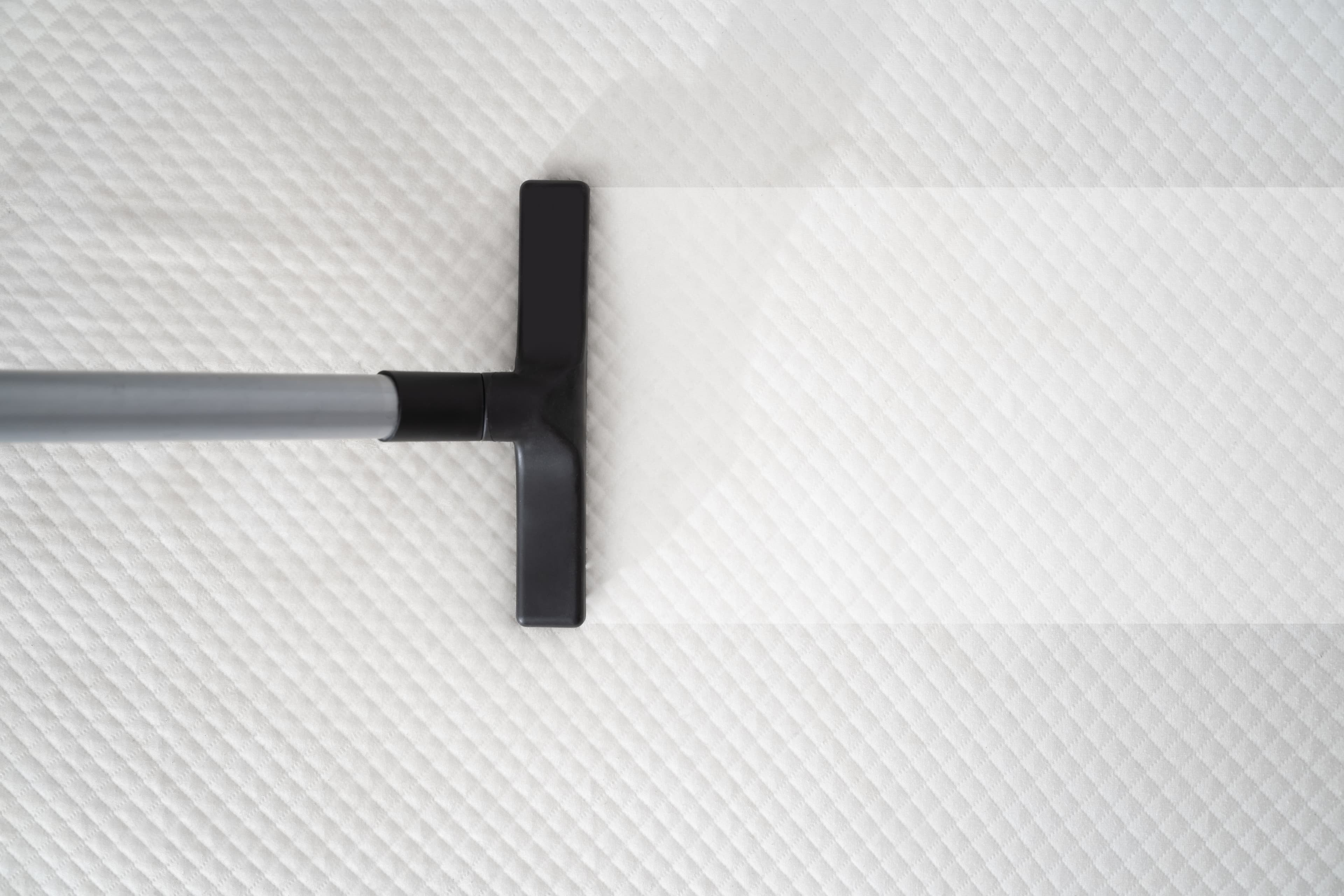 A vacuum steaming the Leesa stripe