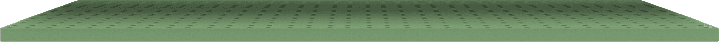 sapirahybrid-2-1200