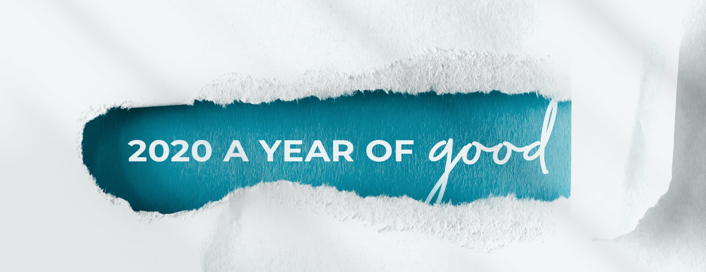 2020 Leesa impact report header