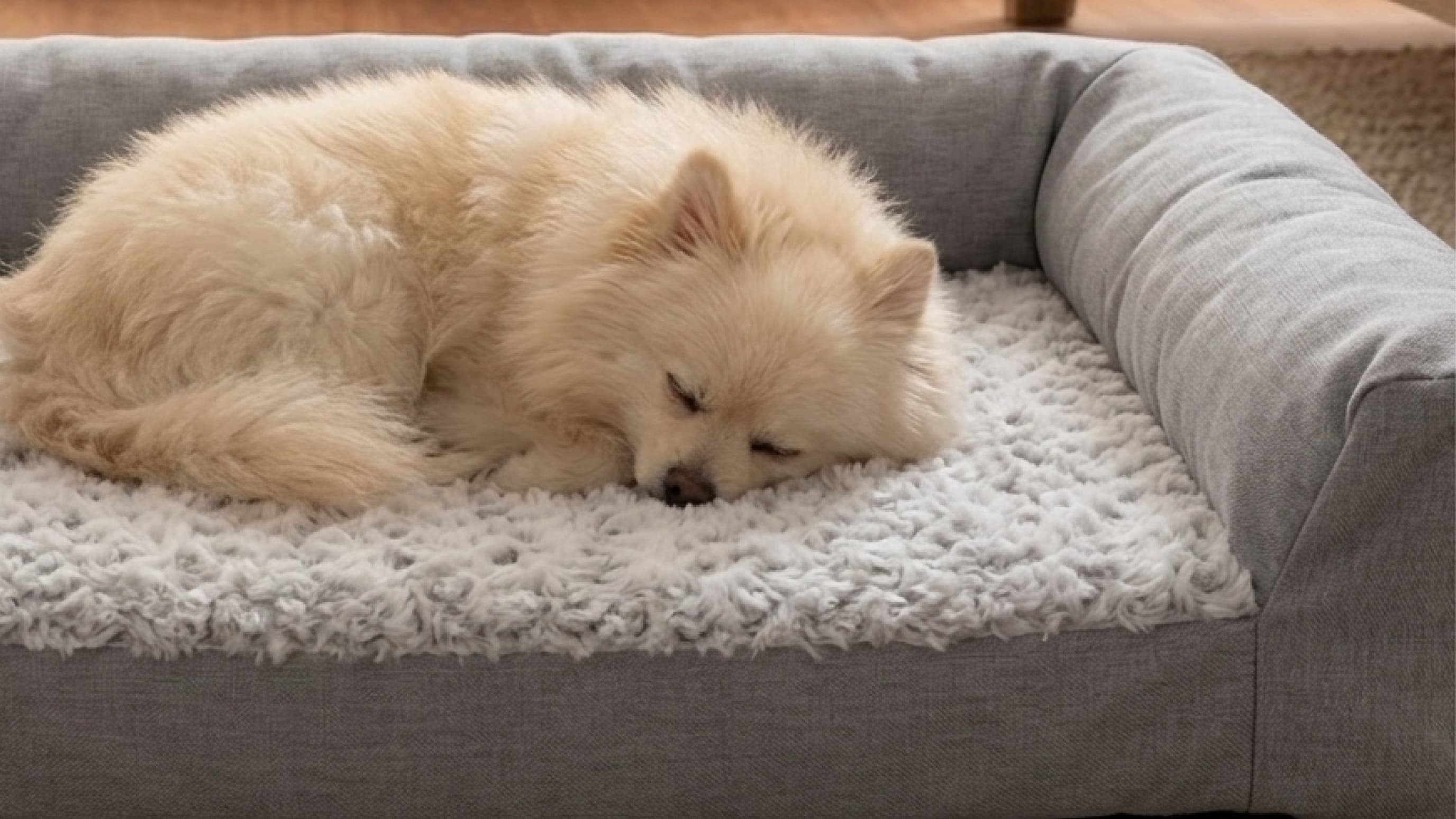 leesa-16-9-mattress-pet-bed